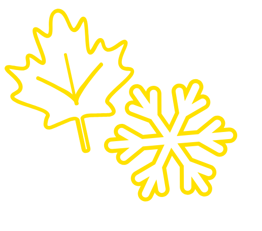 Yellow line drawings of a maple leaf and a snowflake on a light gray background.