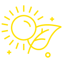Yellow line drawing of a sun with rays shining above a leaf, on a light gray background.
